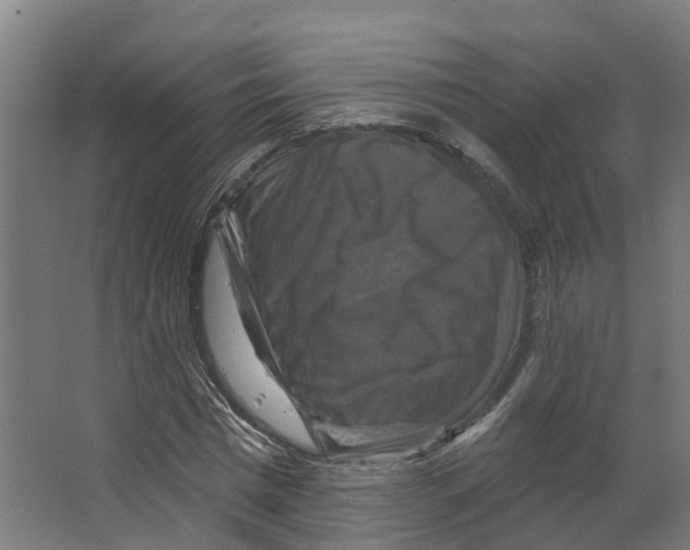 X0000066510777200604141747