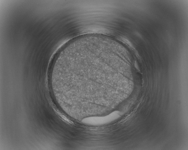 X0000066510780200604141747