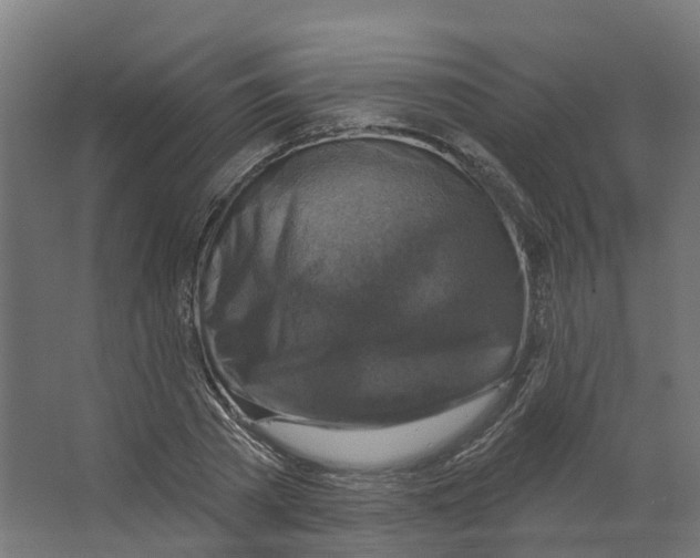 X0000066510785200604141747