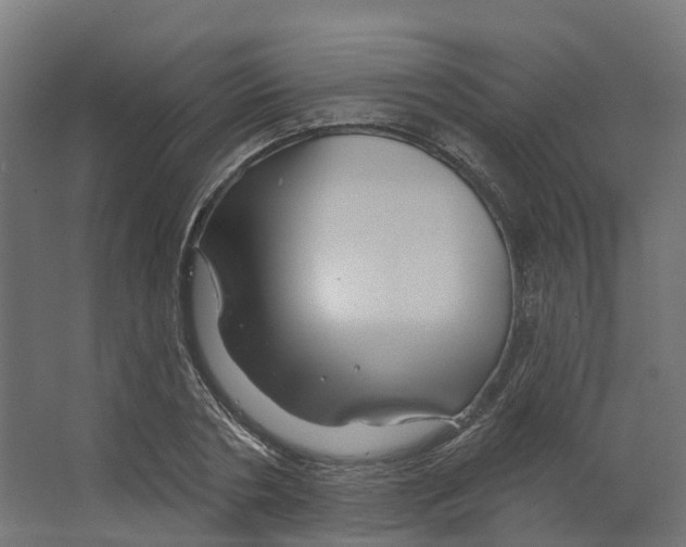X0000066510786200604141747