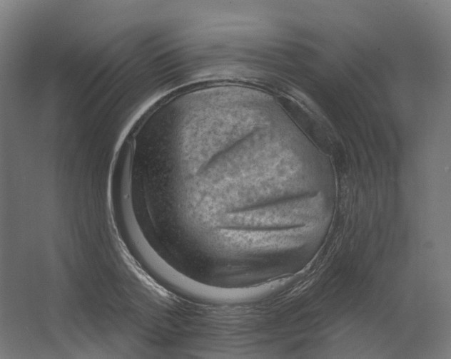 X0000066510788200604141747