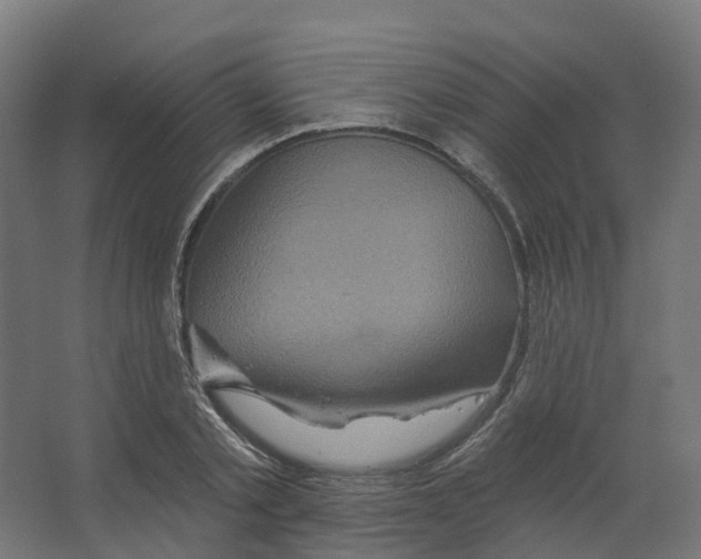 X0000066510789200604141747