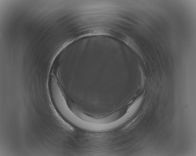 X0000066510797200604141747