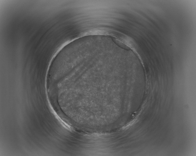 X0000066510803200604141747
