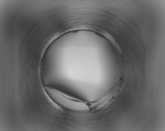 X0000066510805200604141746