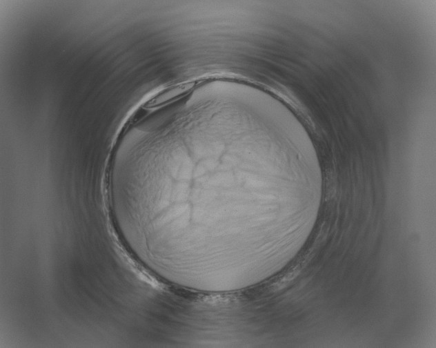 X0000066510806200604141746