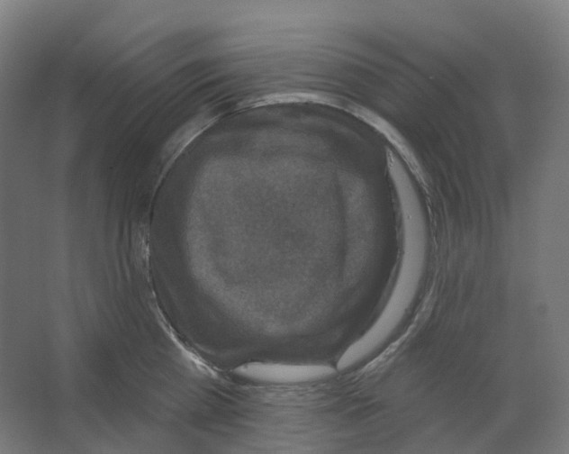 X0000066510809200604141746