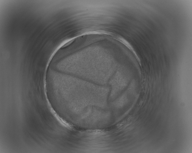 X0000066510811200604141746