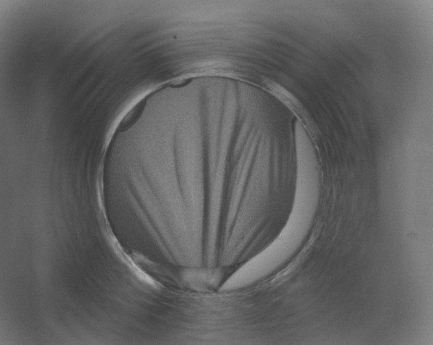 X0000066510812200604141746