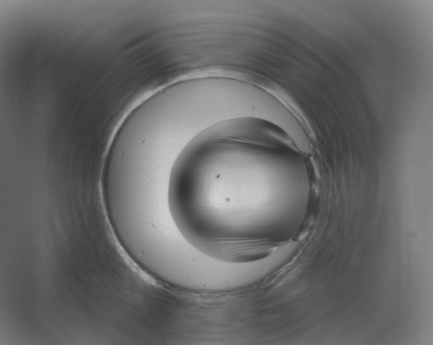 X0000066510813200604141746