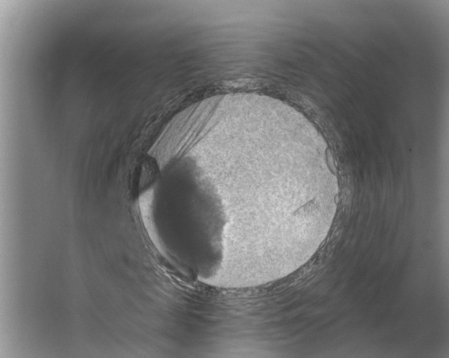 X0000066510817200604141745