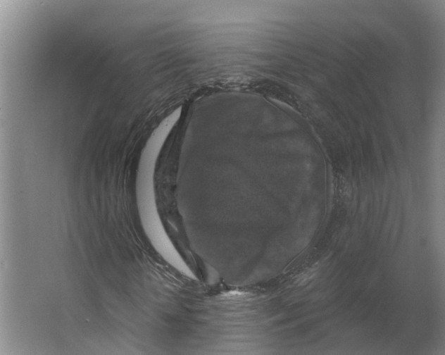 X0000066510818200604141746
