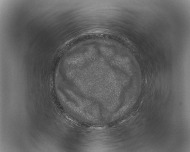 X0000066510821200604141746