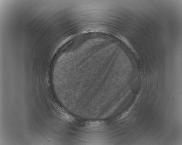X0000066510826200604141746