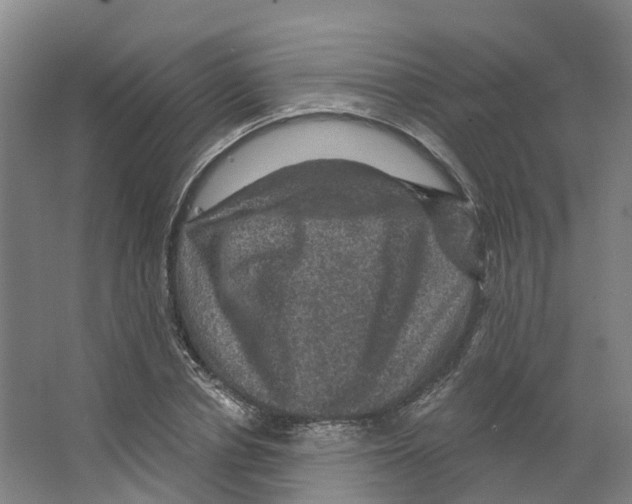 X0000066510834200604141746