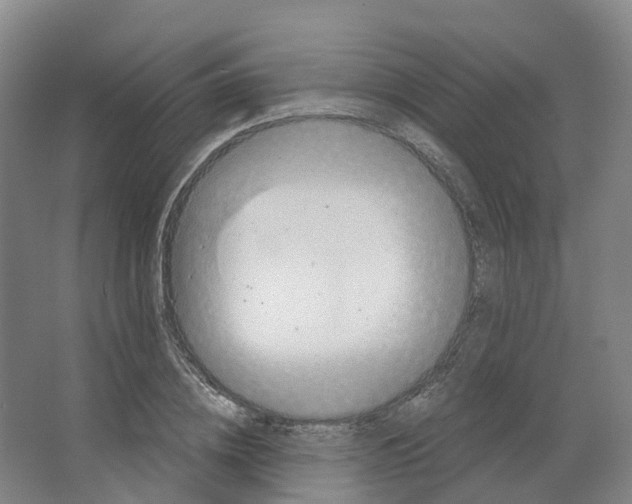 X0000066510836200604141746