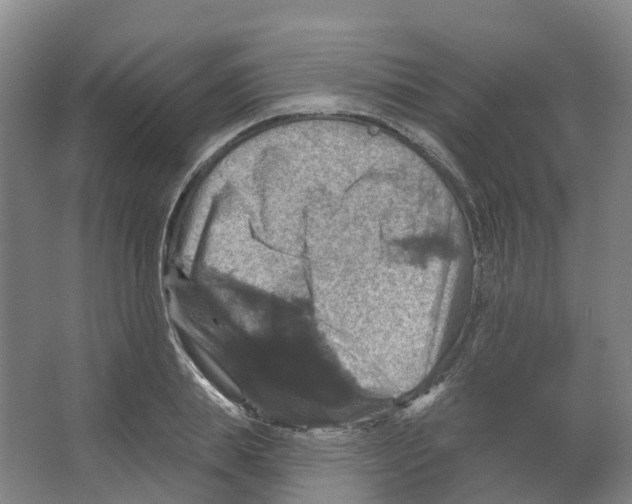 X0000066510839200604141746