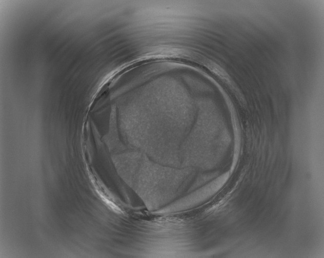 X0000066510842200604141746
