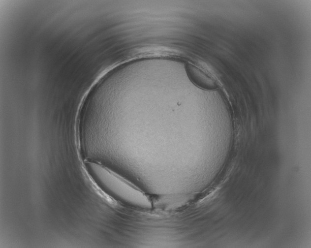 X0000066510843200604141746