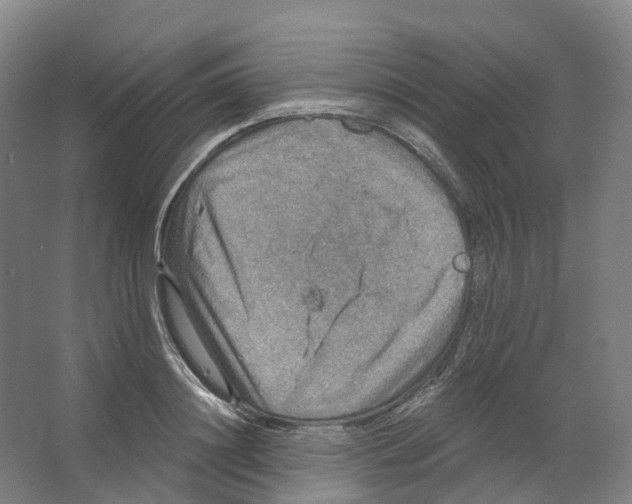X0000066510844200604141746