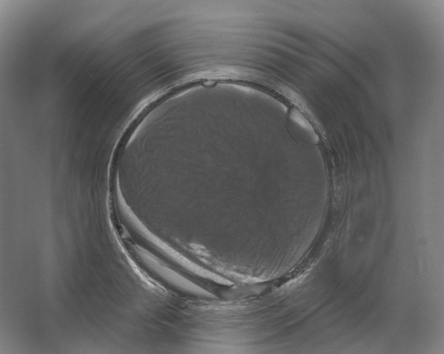 X0000066510845200604141746