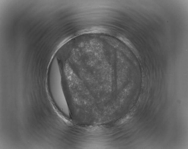 X0000066510850200604141746