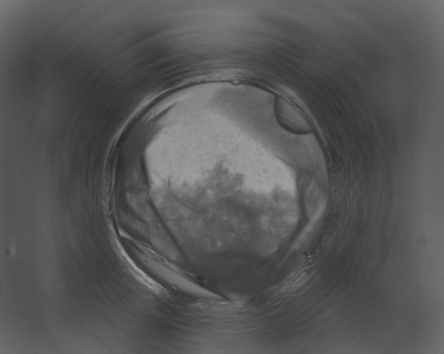 X0000066510851200604141746