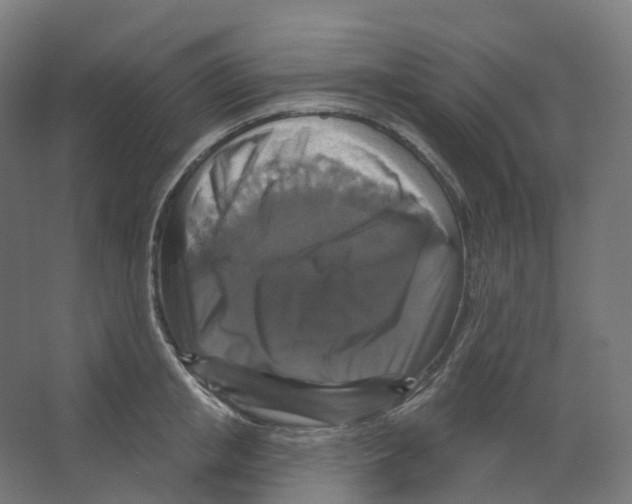 X0000066510853200604141746