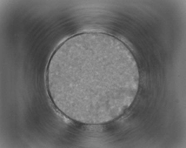 X0000066510856200604141746