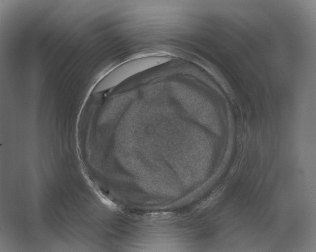 X0000066510858200604141746