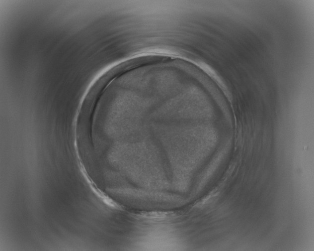 X0000066510862200604141746