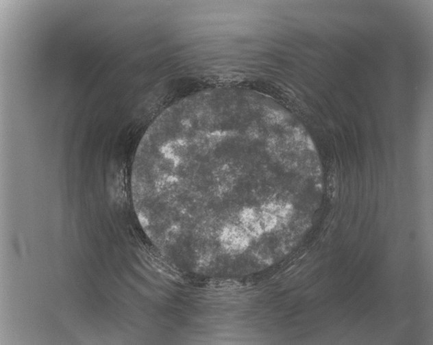X0000066510866200604141745