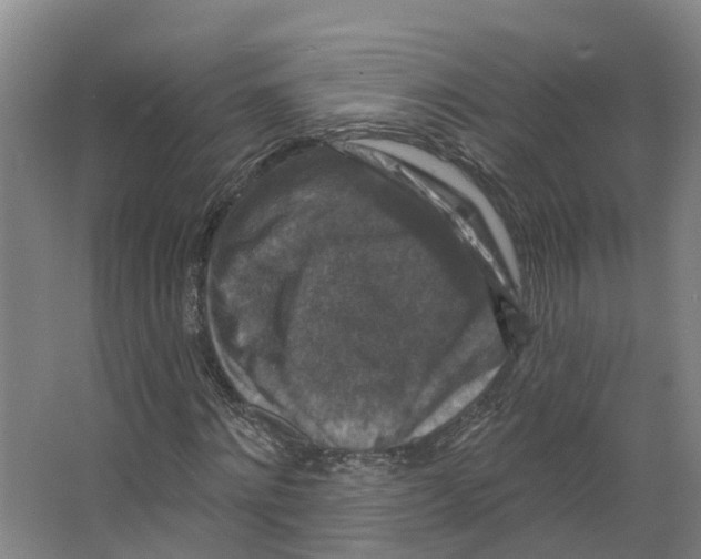 X0000066510868200604141745
