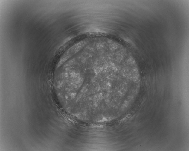 X0000066510870200604141745