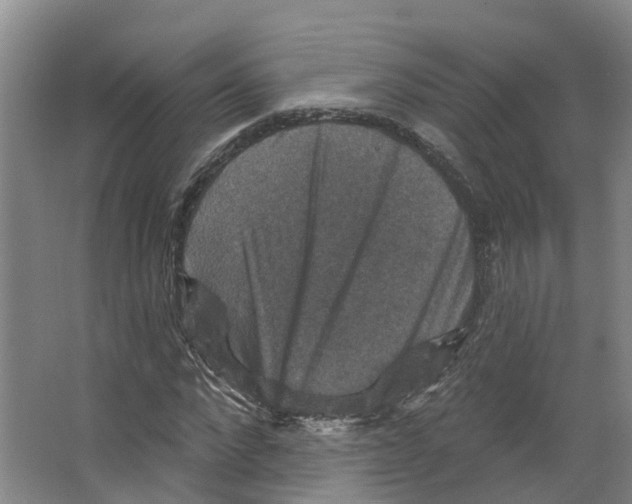 X0000066510872200604141745