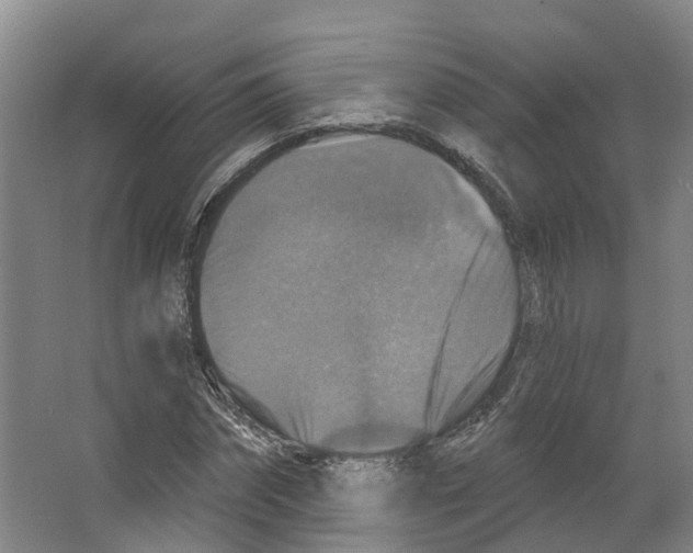 X0000066510874200604141745