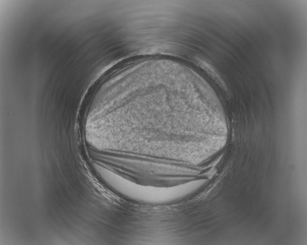 X0000066510876200604141745