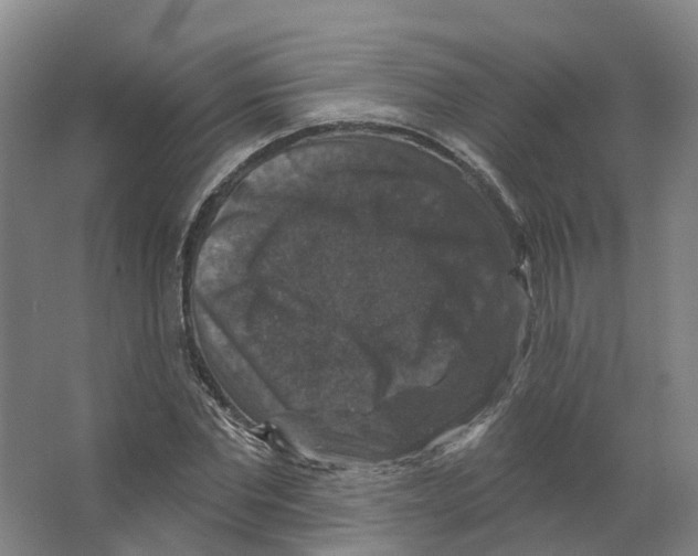 X0000066510877200604141745