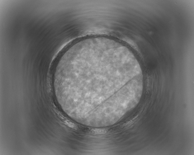 X0000066510878200604141745