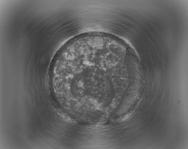 X0000066510879200604141745