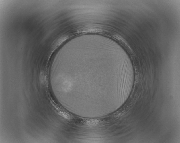 X0000066510882200604141745