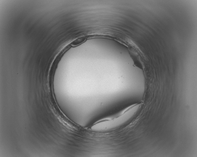 X0000066510884200604141745