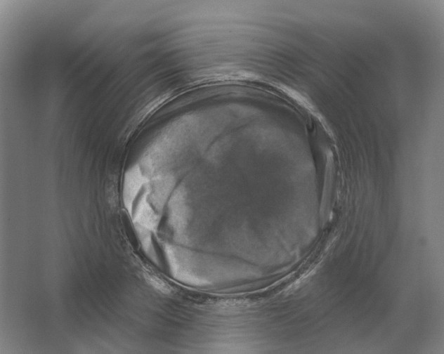 X0000066510889200604141745