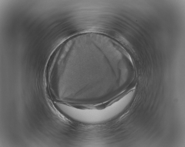 X0000066510892200604141745