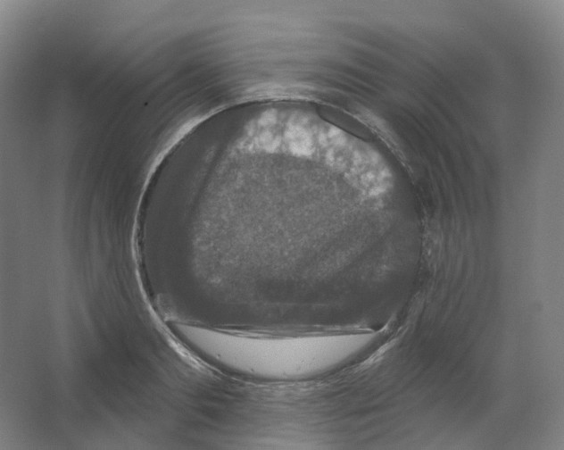 X0000066510893200604141745