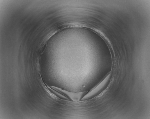 X0000066510897200604141745