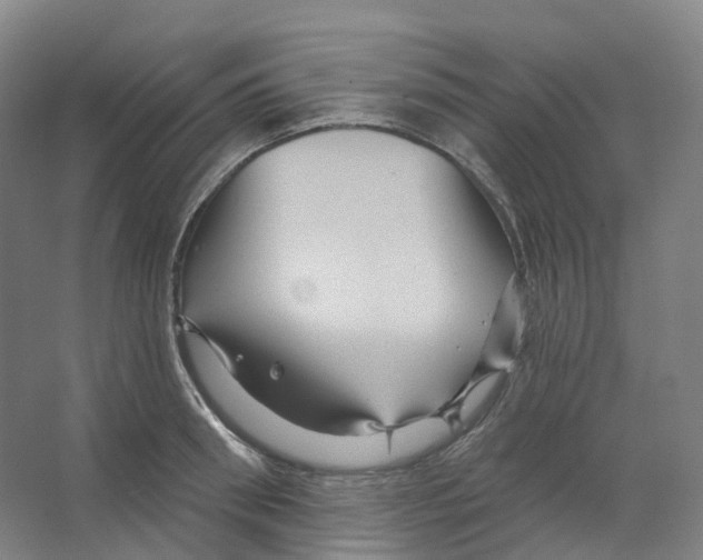 X0000066510898200604141745