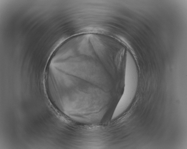 X0000066510899200604141745