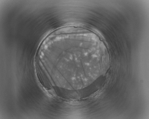 X0000066510907200604141745