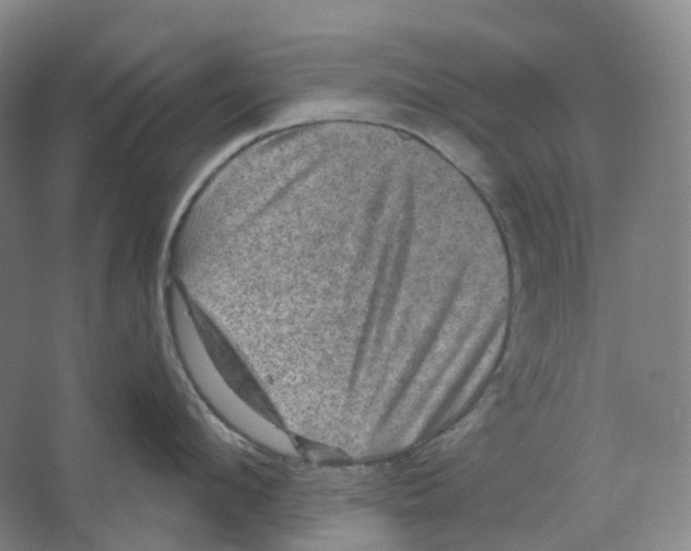 X0000066510912200604141745